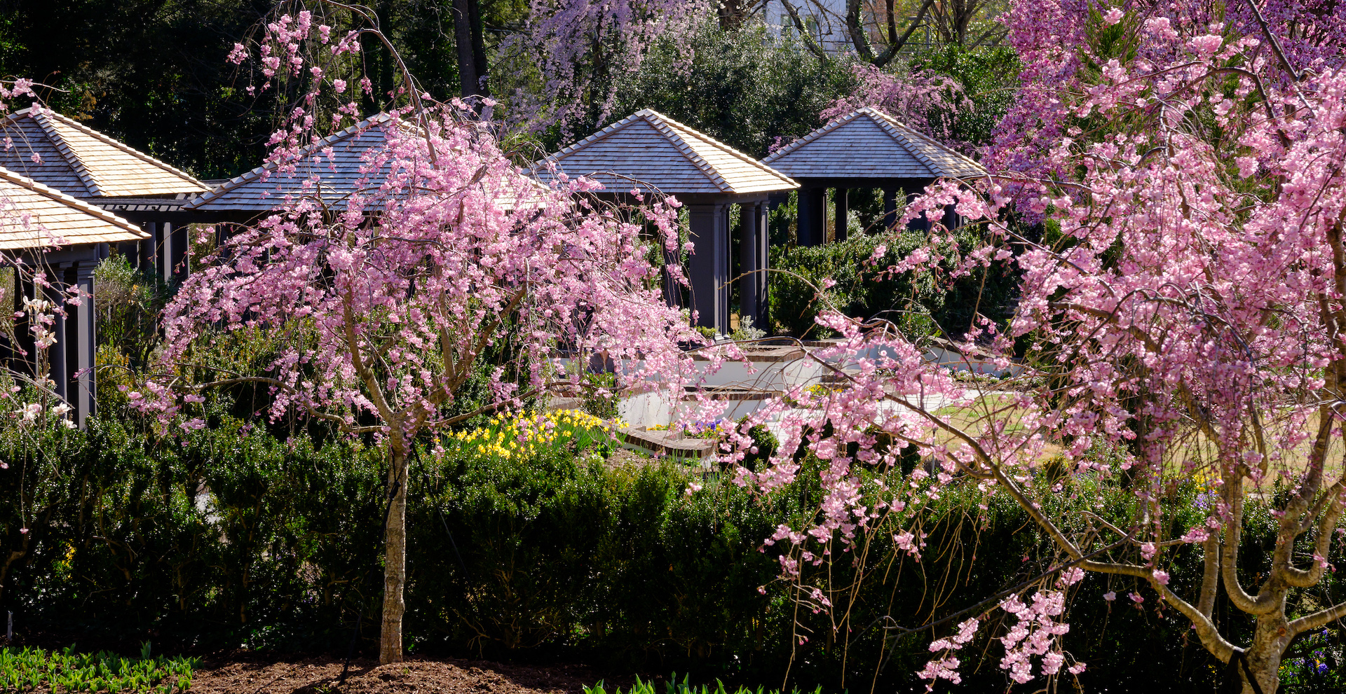 “Reynolda Gardens: Where Nature’s Beauty Blooms in Winston-Salem”